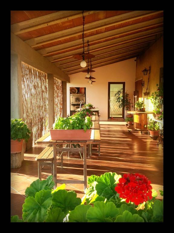 Agriturismo San Giusto Montiano  Exterior foto