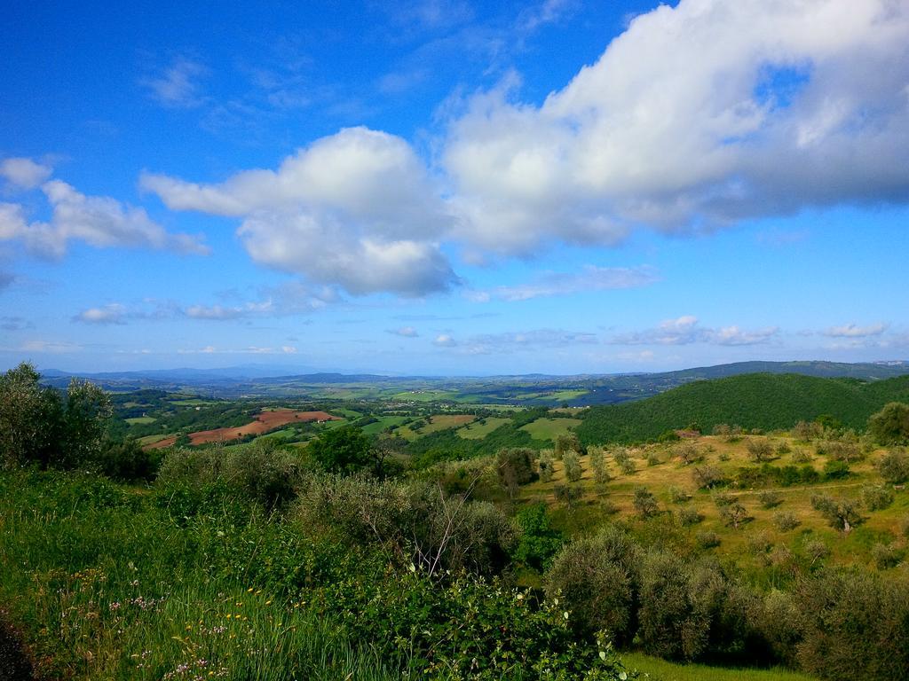 Agriturismo San Giusto Montiano  Exterior foto