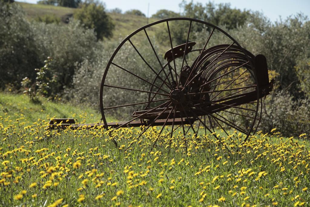 Agriturismo San Giusto Montiano  Exterior foto